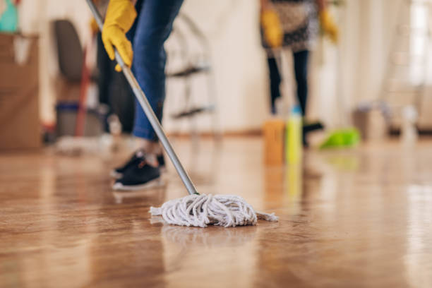 istockphoto-1312634996-612x612